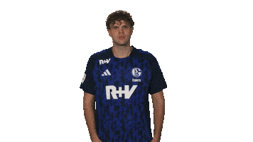 Schalke 04 Vbl Sticker by Bundesliga