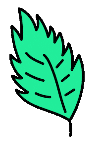 Mint Menthe Sticker by cellublue