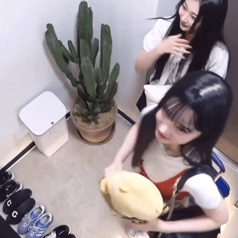 K-Pop Hello GIF