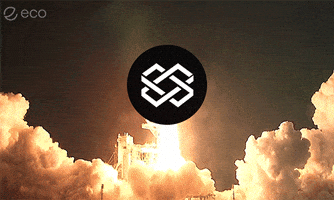 To The Moon Crypto GIF by Eco