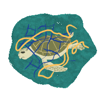 OliveRidleyProject turtle sea turtle orp olive ridley project Sticker
