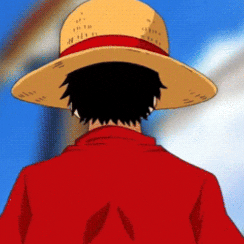One Piece GIF