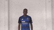 Soccer What GIF by San Jose Earthquakes