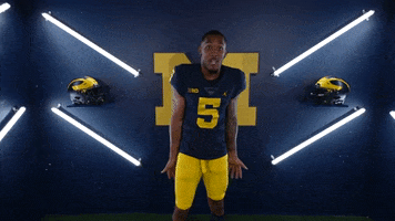 Go Blue College Football GIF by Michigan Athletics