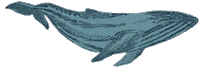 Whale Sticker by Little Planet