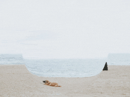 You Can Wow GIF by FranchiseONE.de