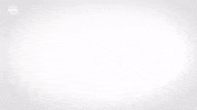 Happy Red Bull GIF by FC Red Bull Salzburg