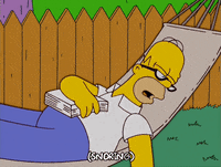 homer simpson episode 10 GIF