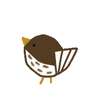 Happy Bird Sticker