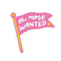 pink flag Sticker