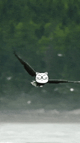 Crypto Soar GIF by ShiroNeko
