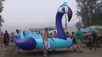 ShambhalaMusicFestival floaties shambhala GIF