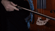 Music Video Rap GIF by Casanova Records