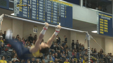 michigan men's gymnastics GIF by Michigan Athletics