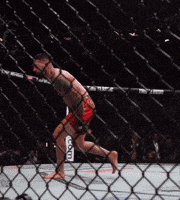 El Matador Sport GIF by UFC