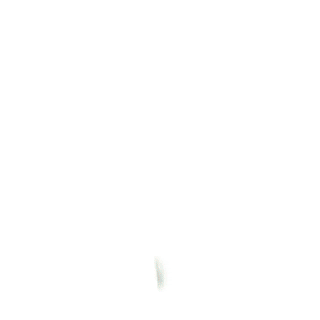 TropicalAW giphyupload GIF