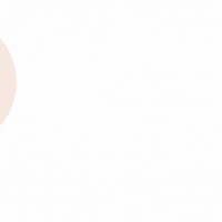 petso-llp social media 寵物 petso1992 好主人 GIF