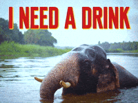 Tired Red Wine GIF by Sealed With A GIF