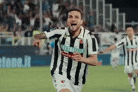 Football Celebrate GIF by Ascoli Calcio 1898
