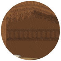 House Rules Sticker by Devir Americas