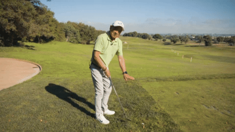 SCPGA giphyupload GIF