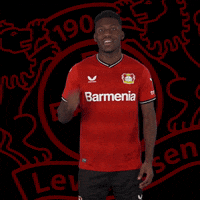 Happy Celebration GIF by Bayer 04 Leverkusen