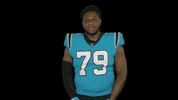 Excuse Me What GIF by Carolina Panthers