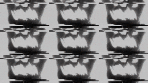 giphy.gif