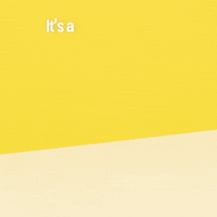 GIF by Ilka & Franz
