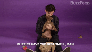 The Best Smell