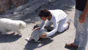 Licking Bed And Breakfast GIF by RTL
