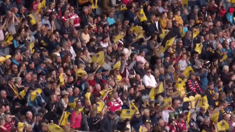 rugby union flags GIF by Worcester Warriors