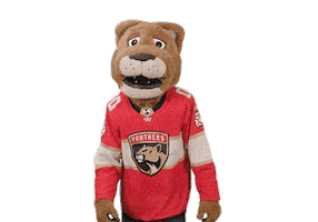 Ice Hockey Sticker by NHL