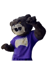 Bear Dancing Sticker by Belleuve University