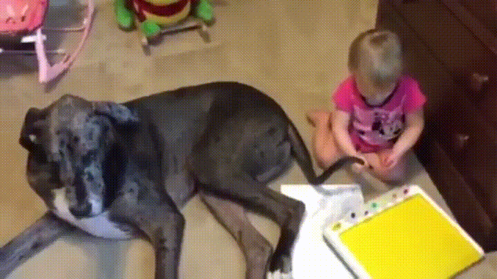 dog kid GIF