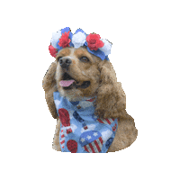 Fourth Of July Dogs Sticker by Geekster Pets