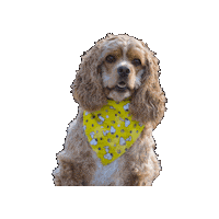 Cocker Spaniel Sticker by Geekster Pets
