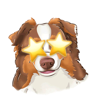 Star Wow Sticker