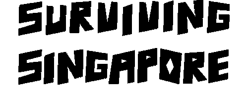 survivingsingapore giphyupload game fun bounce Sticker