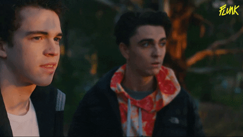 FlunkSeries giphyupload what gay huh GIF