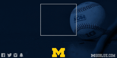 go blue michigan baseball GIF by Michigan Athletics