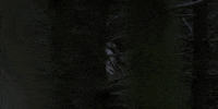under the skin GIF by A24