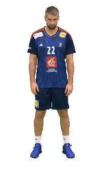 Ffhandball Sticker by Fédération Française de Handball