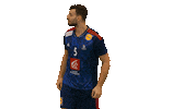 Nedim Remili Ffhandball Sticker by Fédération Française de Handball