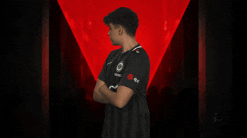 Eintracht Frankfurt Fifa GIF by Bundesliga