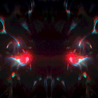 kronogenesis megasoma GIF