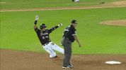 Baseball Sebastian GIF by Club Tomateros
