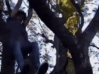 Music Video Anyone Else GIF by Joshua Bassett