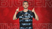 Hamburger Sv Sign GIF by Bundesliga