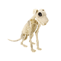 This Is Halloween Dog Sticker by Five Below